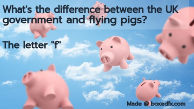 Funny UK political meme featuring flying pigs with the caption: 'What's the difference between K politicians and flying pigs? The letter F'