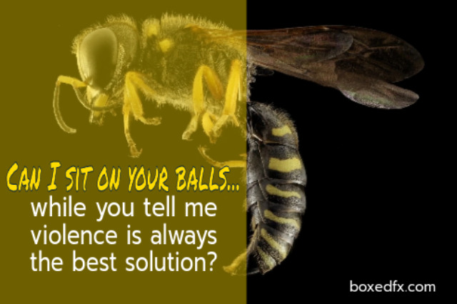 Dragstar example meme showing a wasp on a blackground. The caption reads: 'Can I sit on your balls while you tell me violence is the best solution?'
