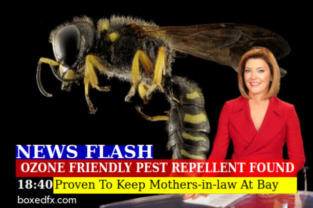 News flash style meme featuring a wasp, with the headline: 'Ozone friengly pest repellent foumd. Proven to keep mothers-in-law at bay'