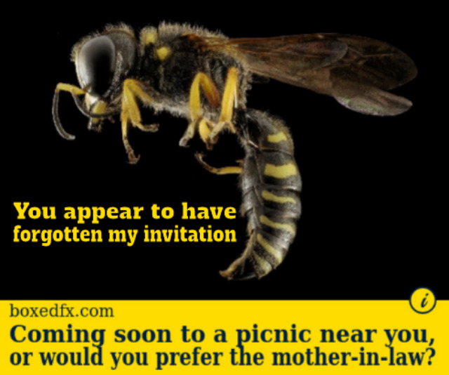 Faebook share style meme with the caption: ' Coming soon to a picnic near you, or would prefer the mother-in-law?'