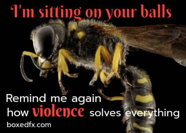 Dragstar example meme showing a wasp on a blackground. The caption reads: 'I am sitting on your balls. Remind me again how violence solves everything.'