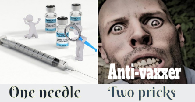 an anti-vaxxer meme showing a syringe with a stupid looking person overlaid with the the text 'anti-vaxxer'. The caption reads: 'One needle, two pricks'