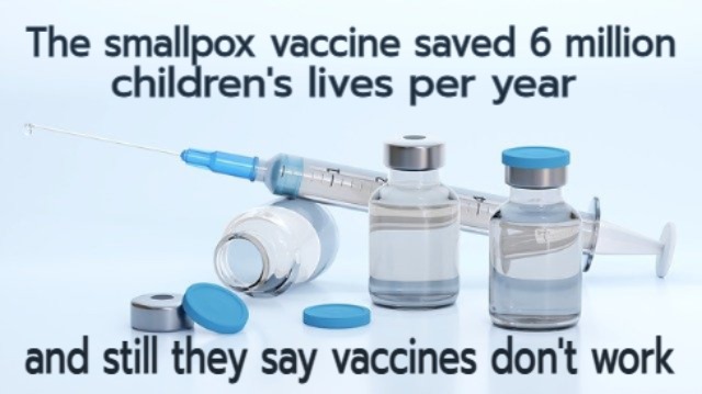 Anti anti-vaxxer meme with the caption: 'The smallpox cavvine saved 6 million children's lives per year, and still they say vaccines don't work'