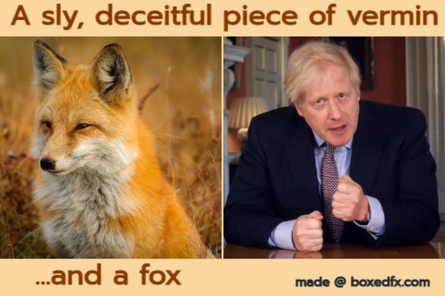 Boris Johnson meme featuring Boris, a fox, and the caption 'A sly deceitful piece of vermin, and a fox'