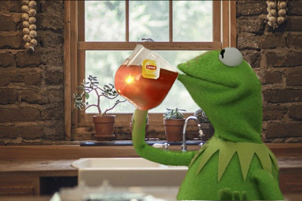 Kermit standing in the kitchen sipping tea