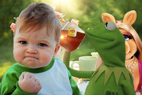 Kermit standing with the success kid